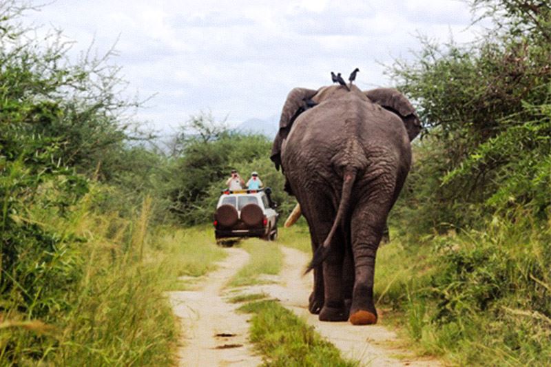 Kabalega Wilderness Lodge en Murchison Falls National Park
