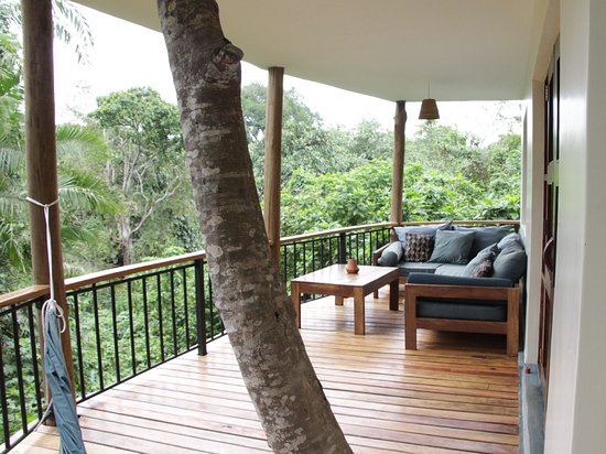Turaco Treetops en Kibale National Park