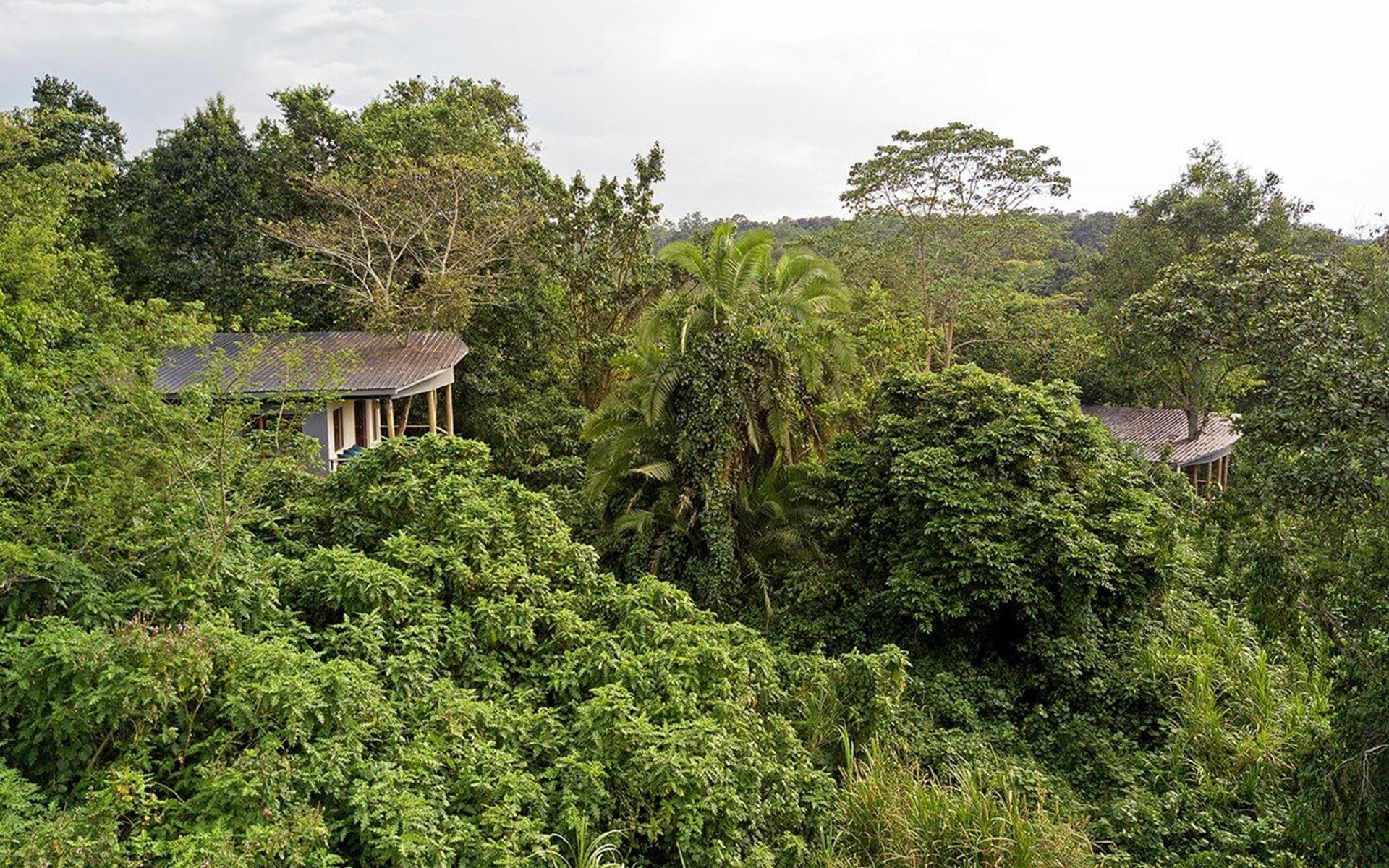 Turaco Treetops en Kibale National Park