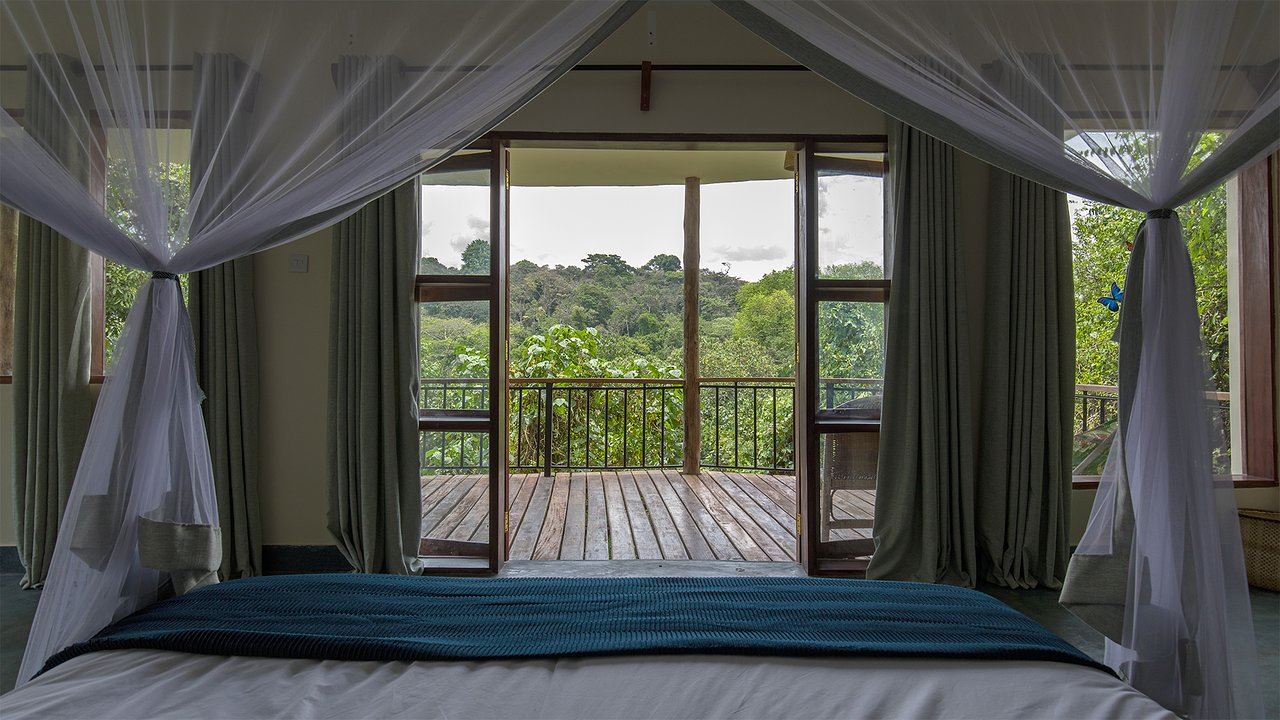 Turaco Treetops en Kibale National Park