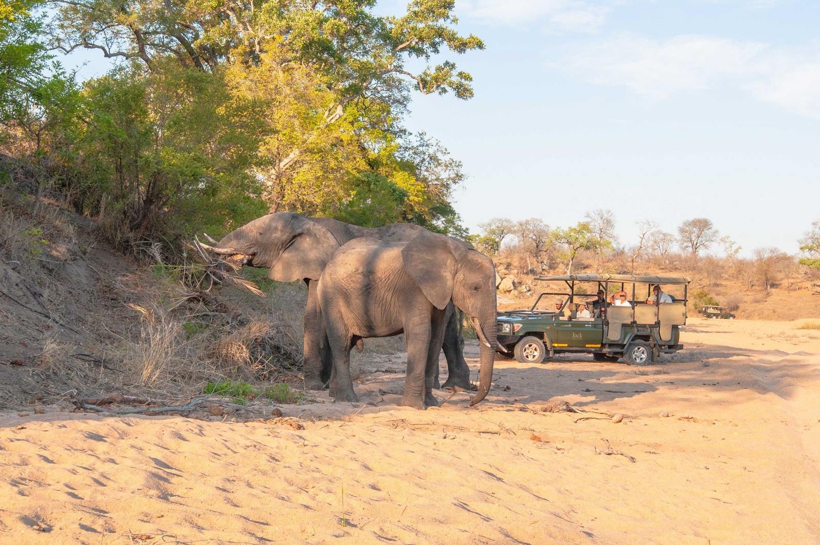 Jock Safari Lodge en Kruger National Park