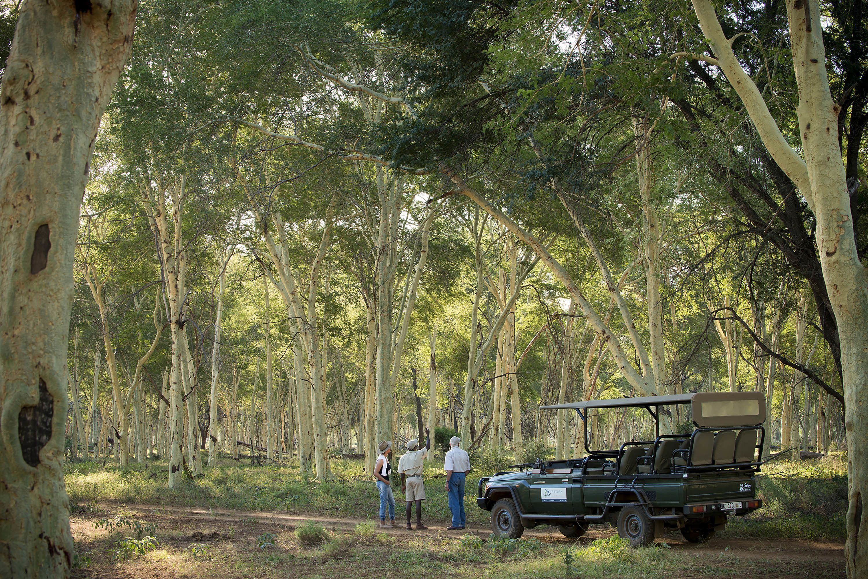 Pafuri Camp en Kruger National Park