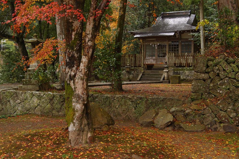 Kumano Kodo | LAT.40