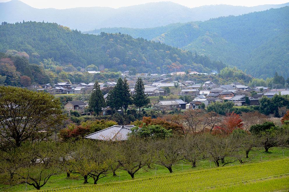 Kumano Kodo | LAT.40