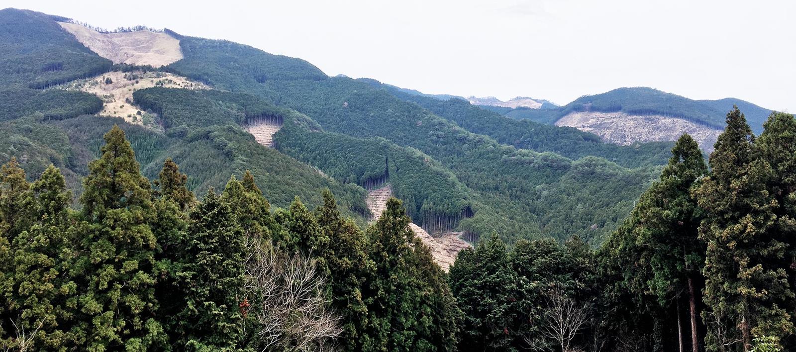 Kumano Kodo | LAT.40