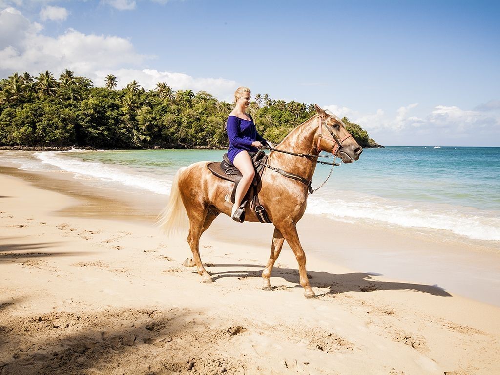 Apartamento de Lujo en la Playa en Las Terrenas