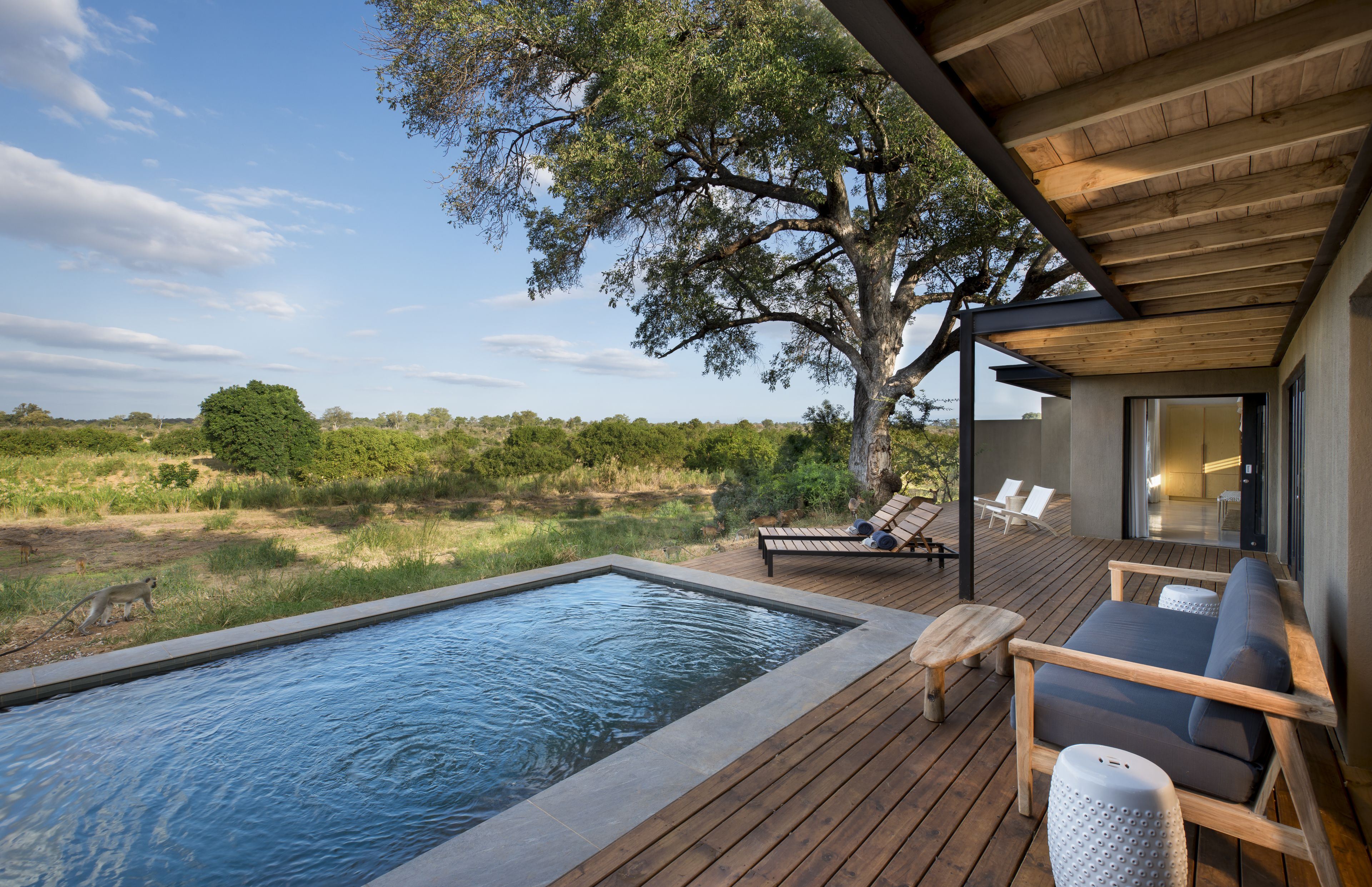 Sabi Sands