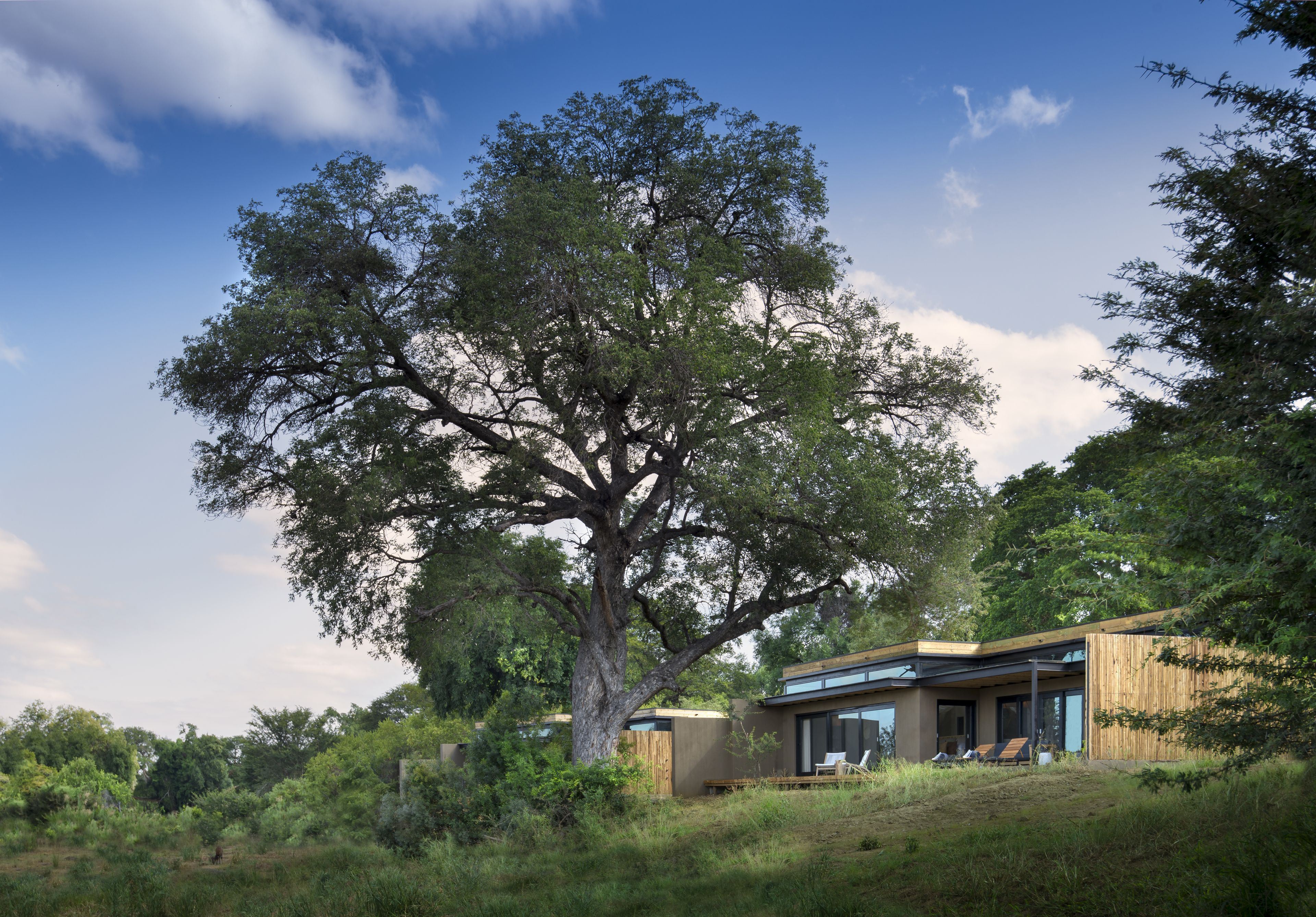 Sabi Sands