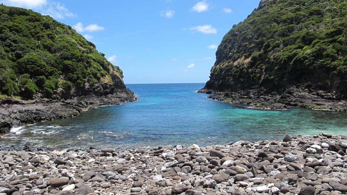 Beachcomber Lodge en Lord Howe