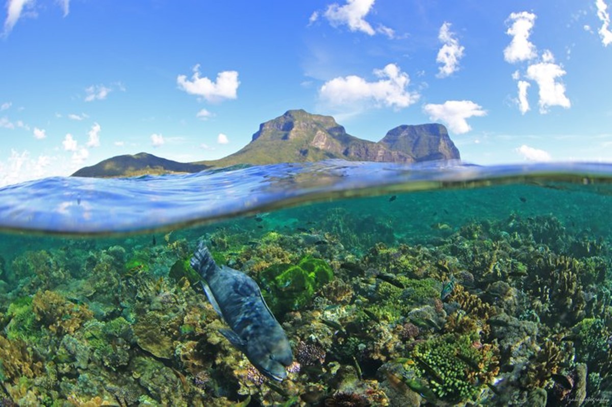 Beachcomber Lodge en Lord Howe