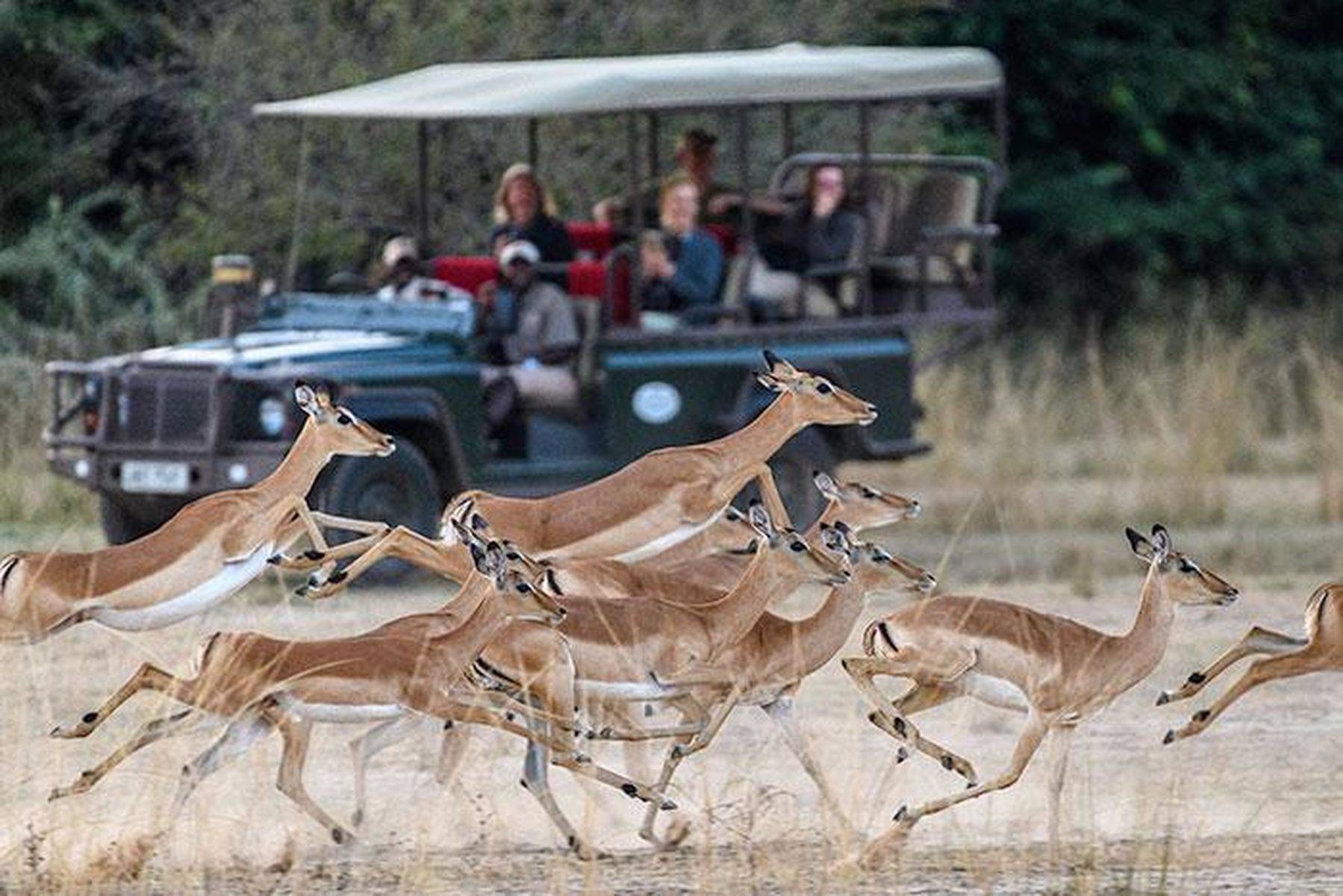 Zungulila Bushcamp en Luangwa Valley