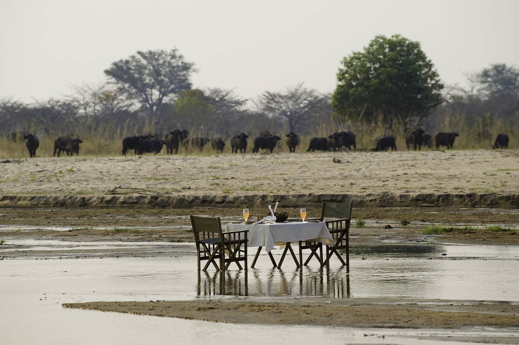 Zungulila Bushcamp en Luangwa Valley
