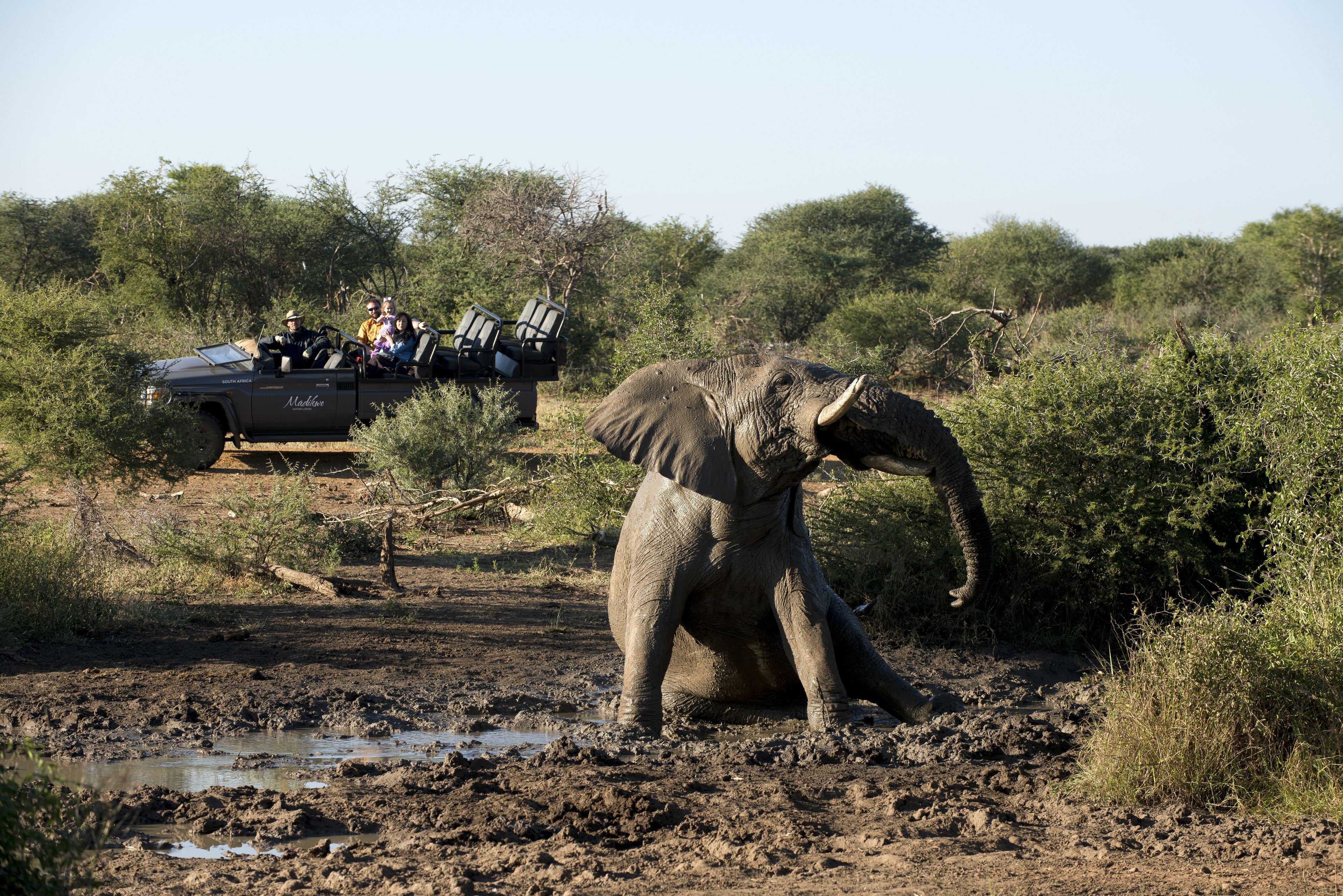 Madikwe Kopano Lodge en Madikwe Game Reserve