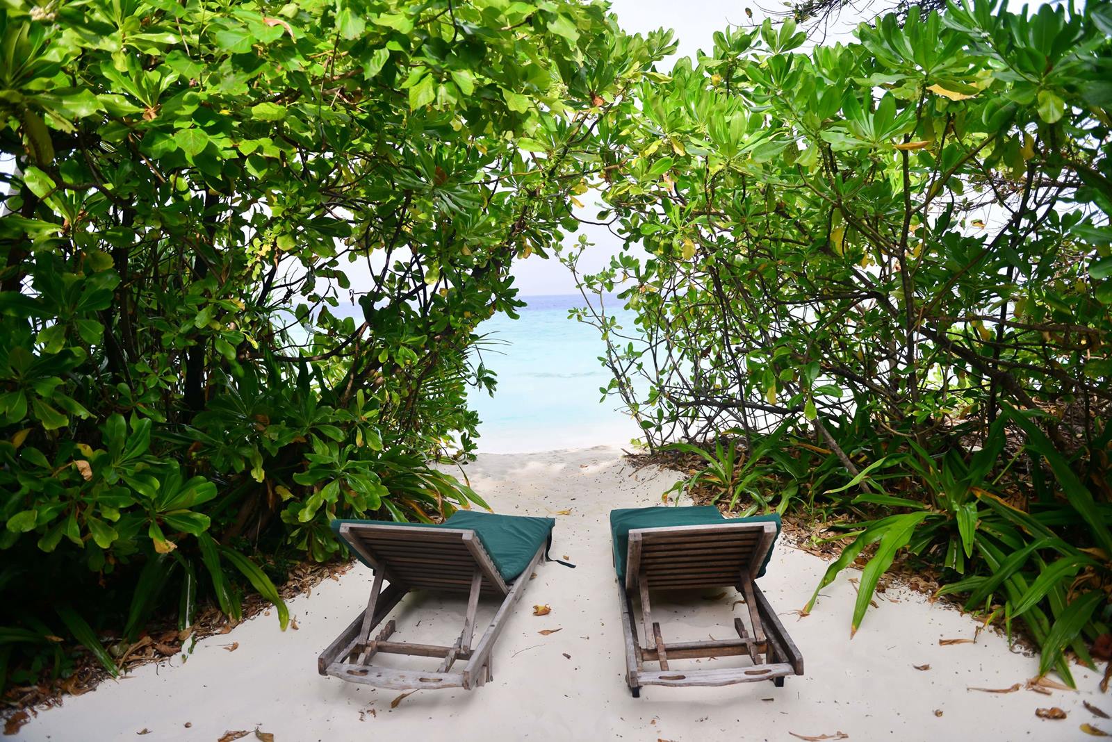 Coco Palm Dhuni Kolhu en Baa Atoll
