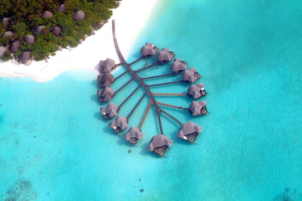 Luna de miel Sri Lanka y Maldivas Villa Overwater (5N Coco Palm) diseñado por LAT.40