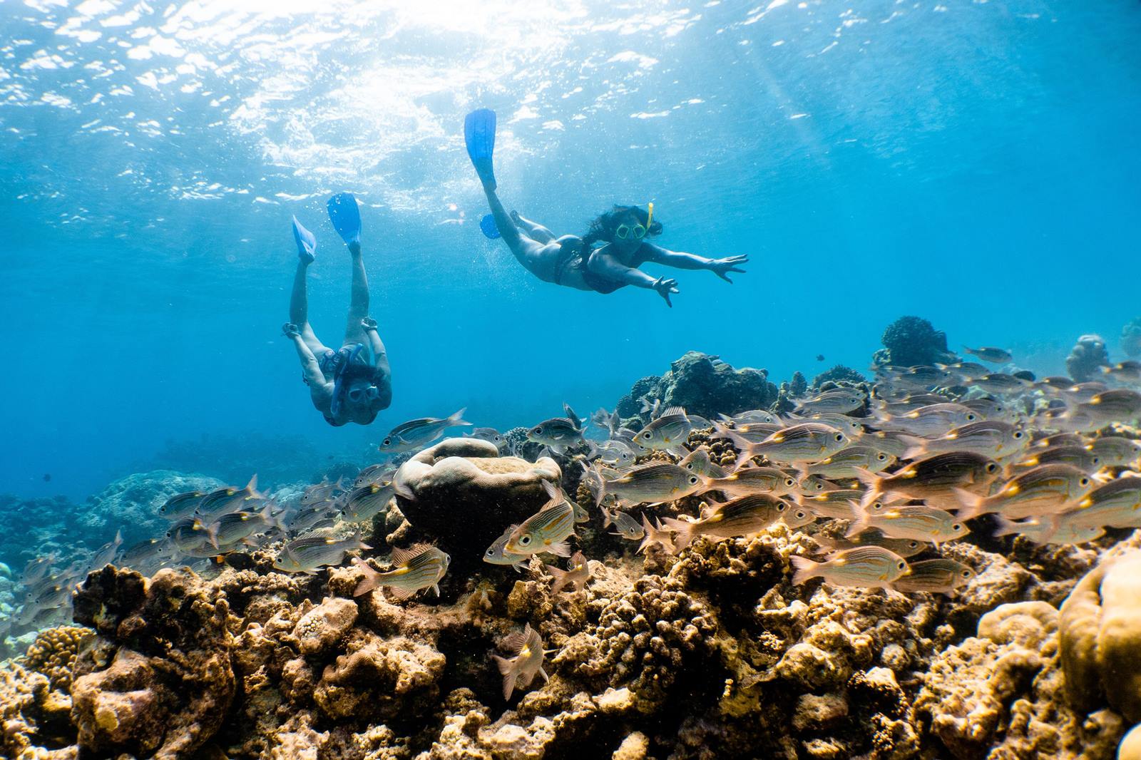 Mövenpick Resort Kuredhivaru Maldives en Noonu Atoll