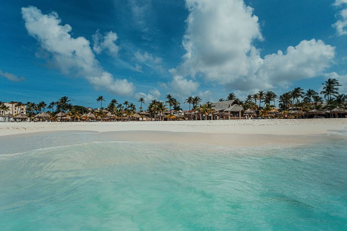 Manchebo Beach Resort and Spa  en Aruba