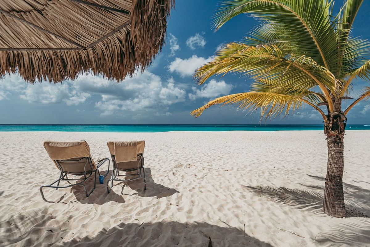 Manchebo Beach Resort and Spa  en Aruba