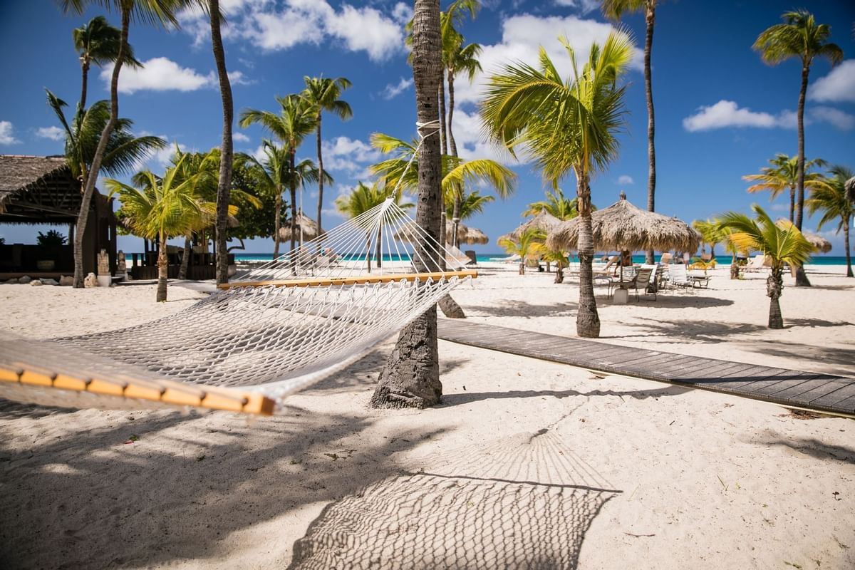 Manchebo Beach Resort and Spa  en Aruba