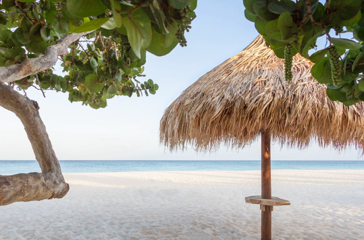 Manchebo Beach Resort and Spa  en Aruba