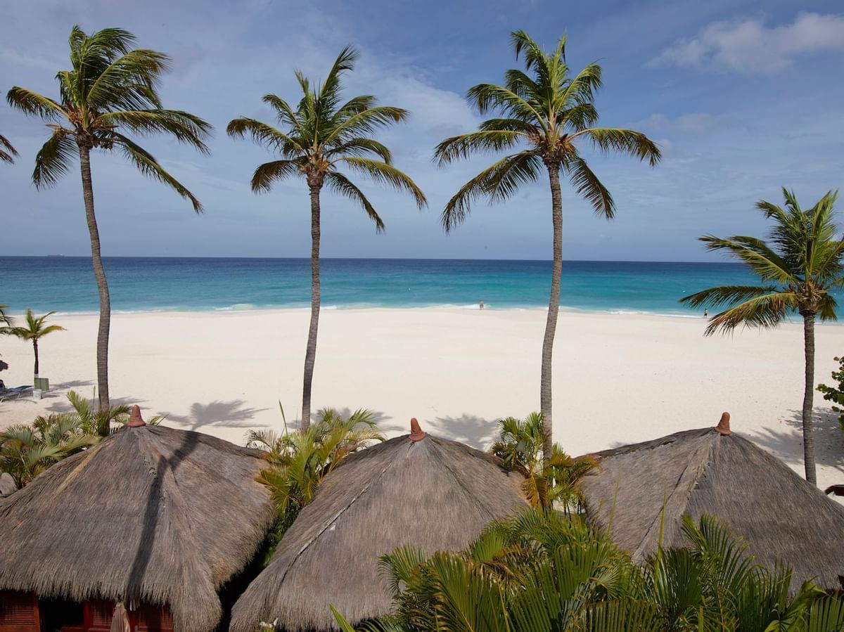 Manchebo Beach Resort and Spa  en Aruba