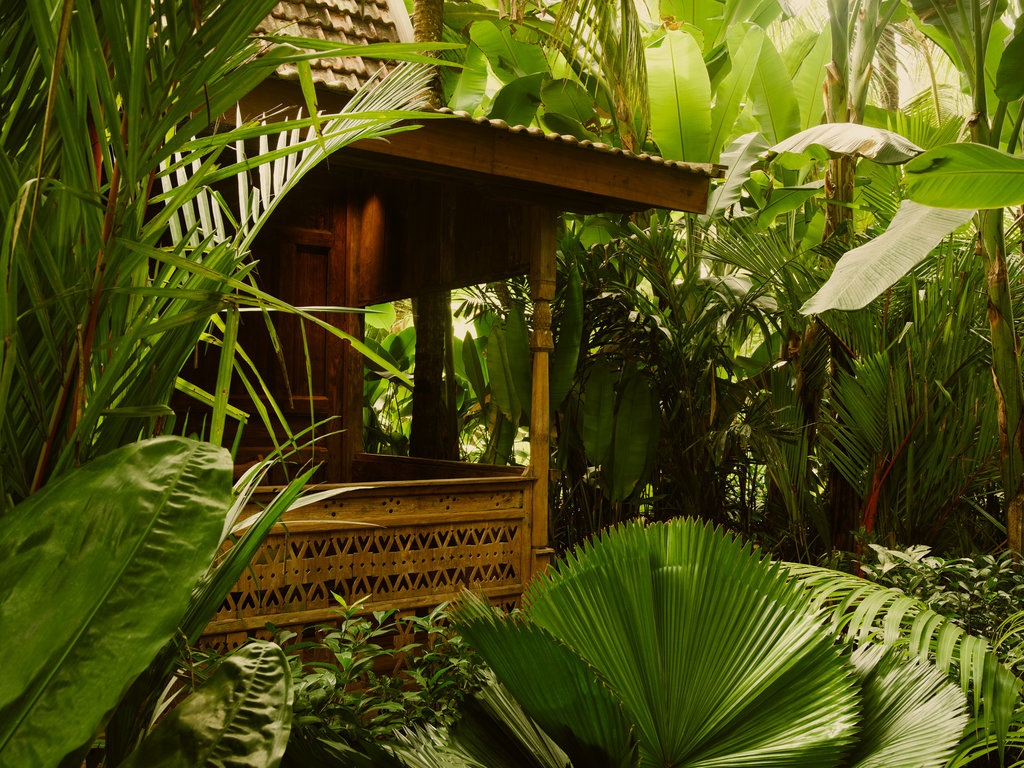 Imagen de viaje LAT.40