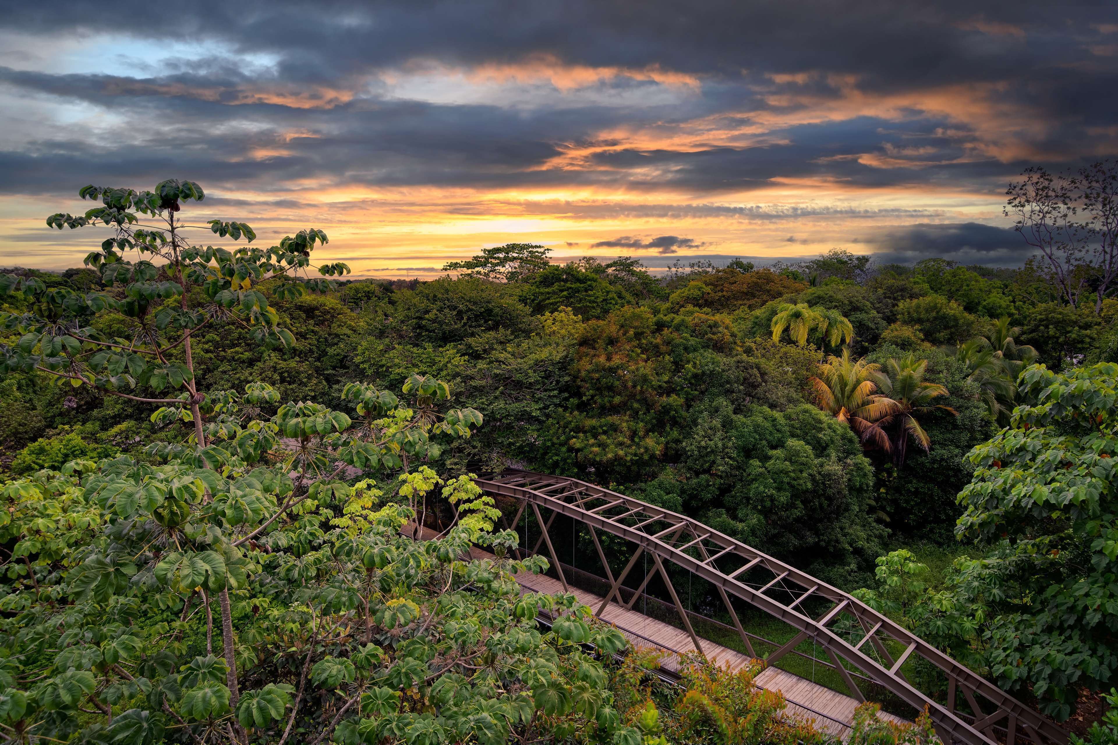 Botanika Osa Peninsula, Curio Collection by Hilton en Parque Nacional Corcovado