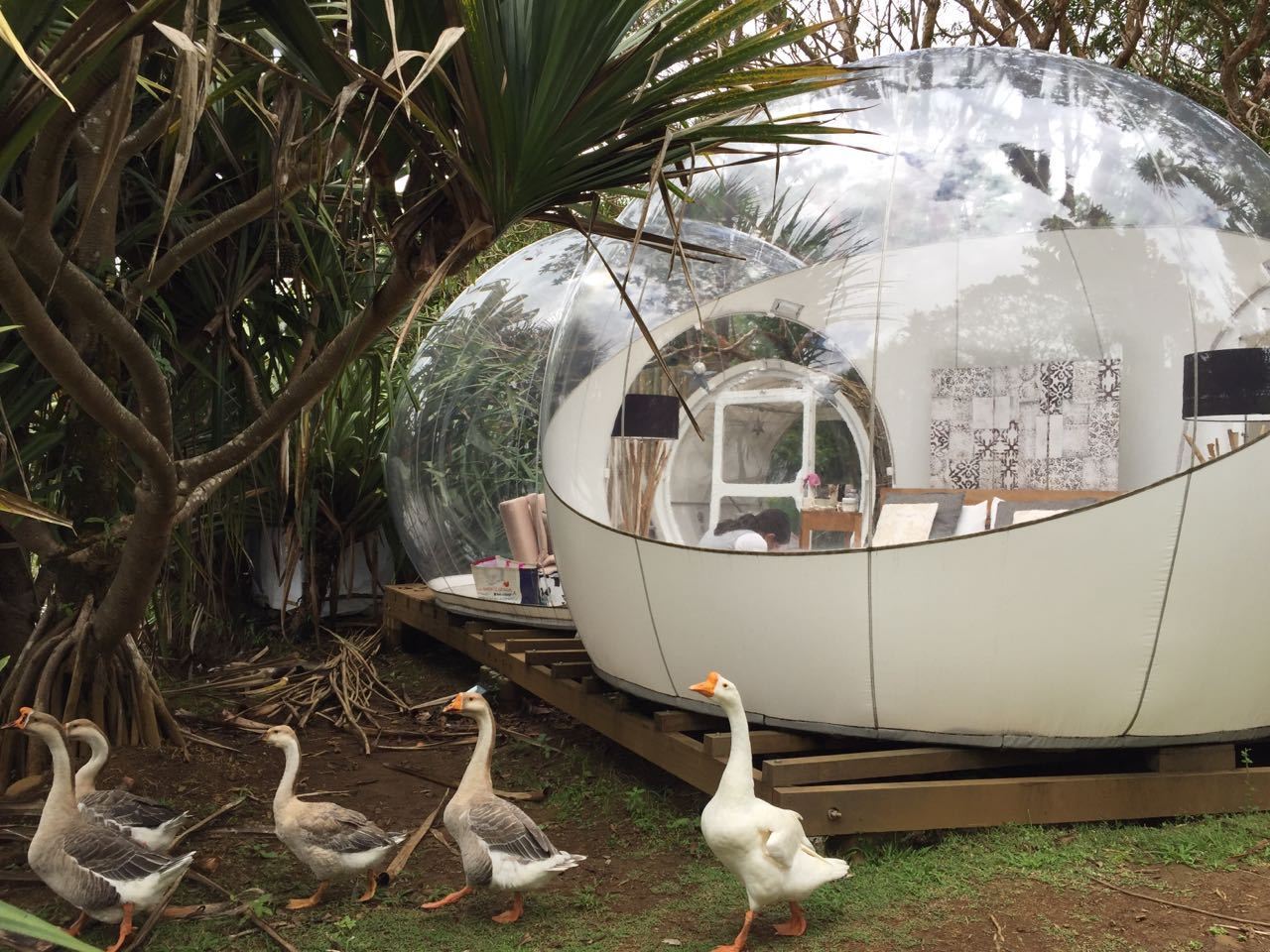 Bubble Lodge Ile aux Cerfs en Isla Mauricio