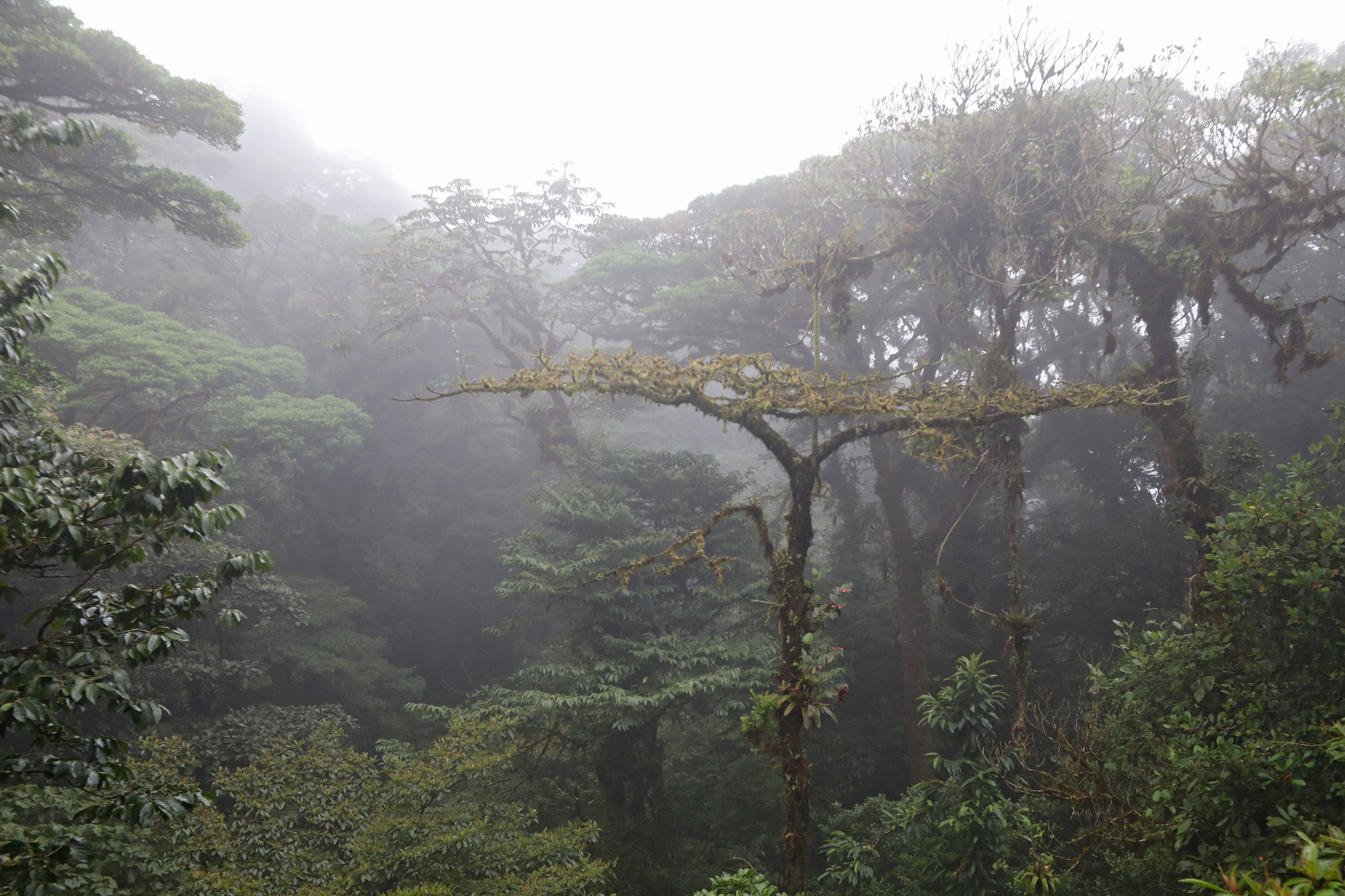 Imagen de viaje LAT.40