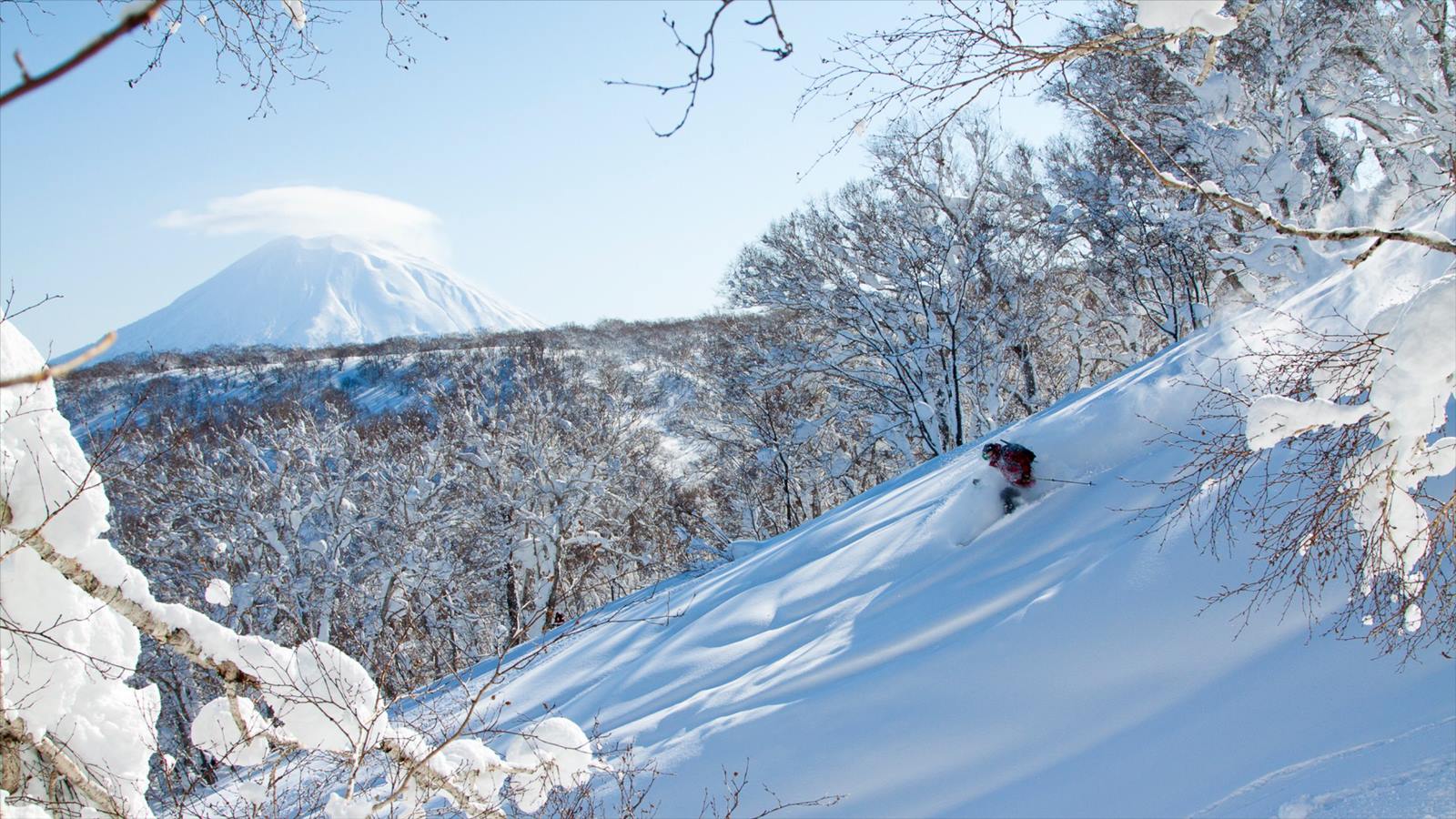 Niseko | LAT.40