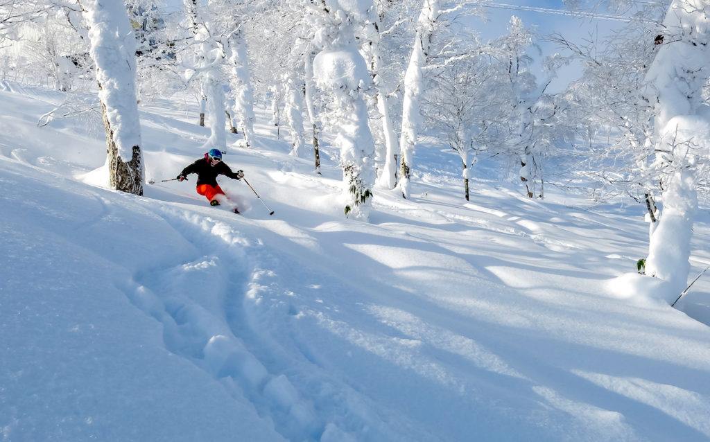 Niseko | LAT.40