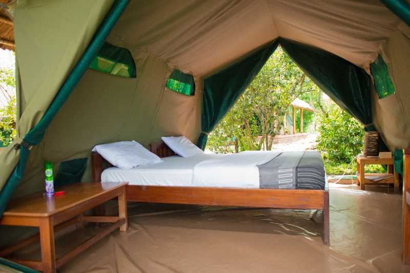 Queen Elizabeth Bush Lodge  en Queen Elizabeth National Park