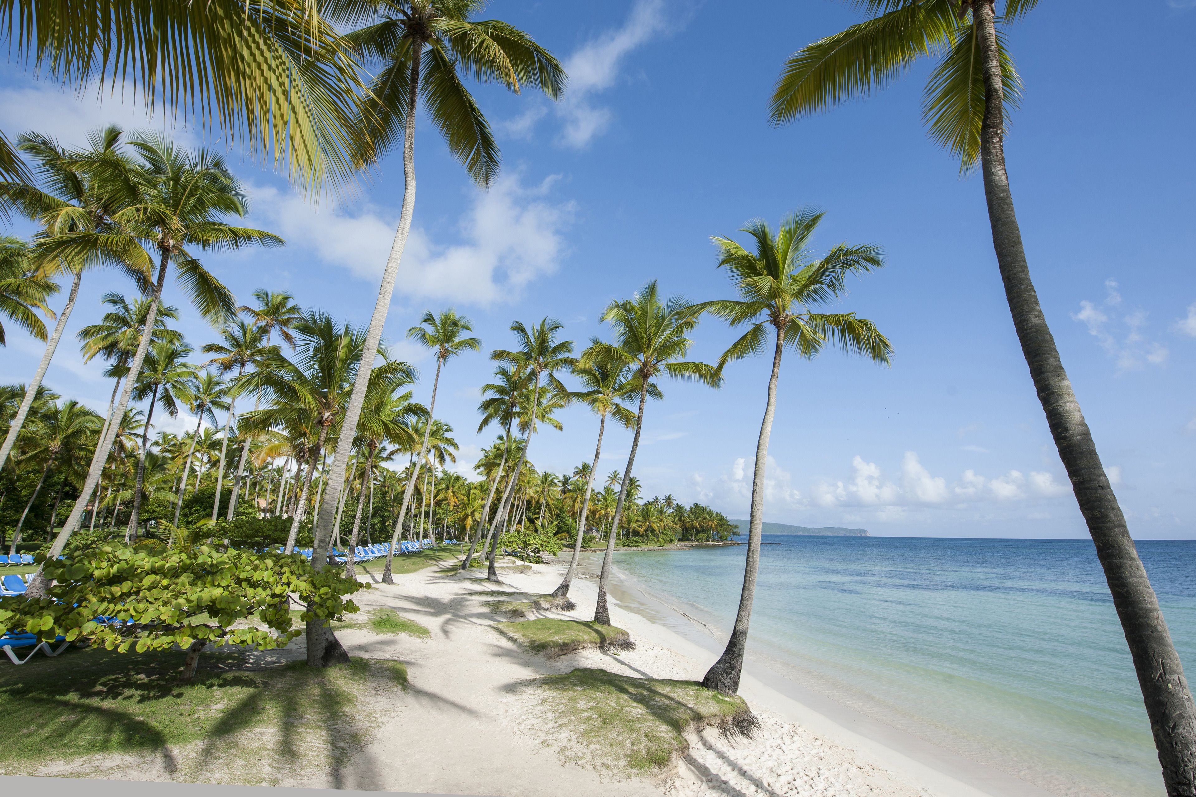 Select at Grand Paradise Samana - All Inclusive en Las Galeras
