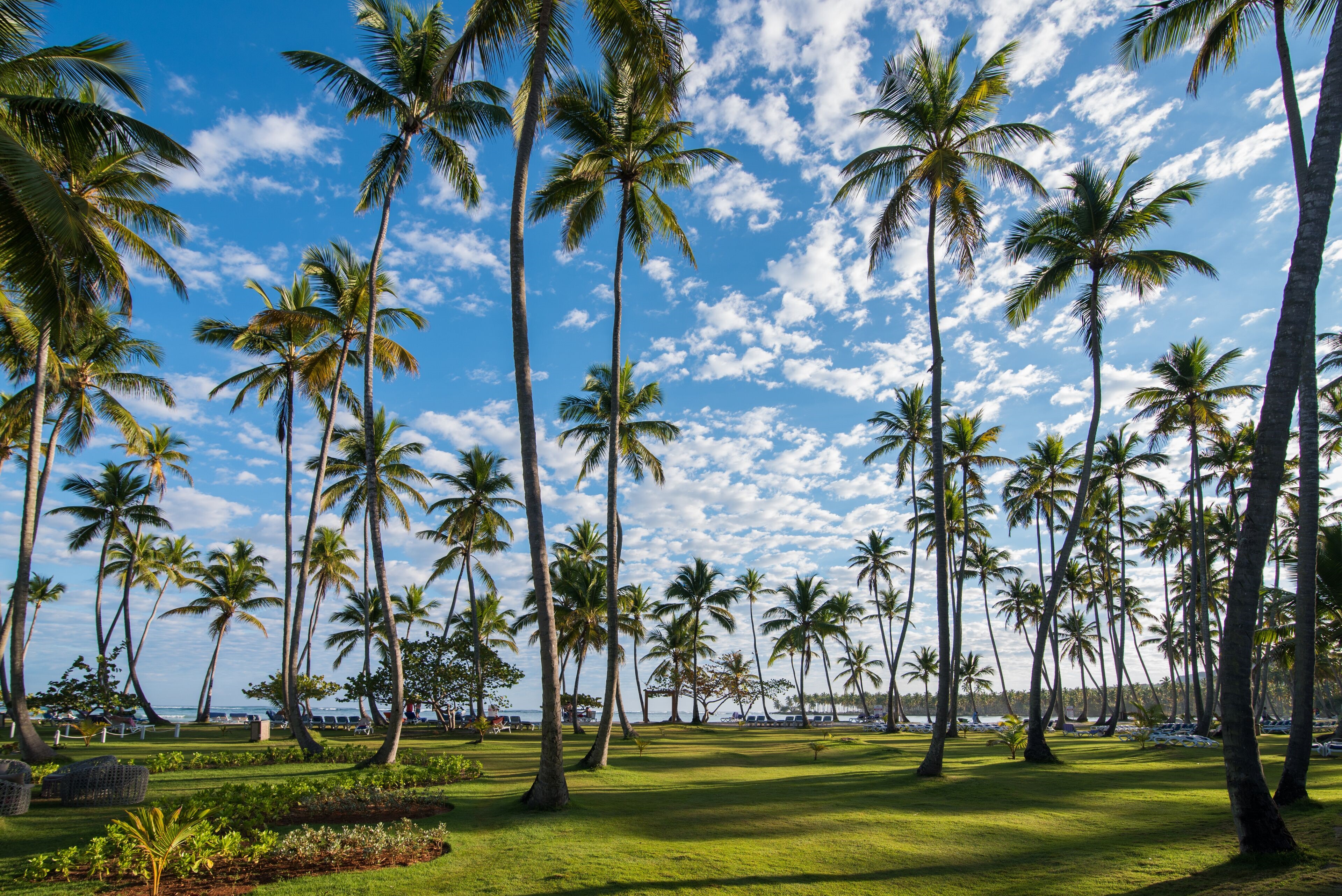 Select at Grand Paradise Samana - All Inclusive en Las Galeras