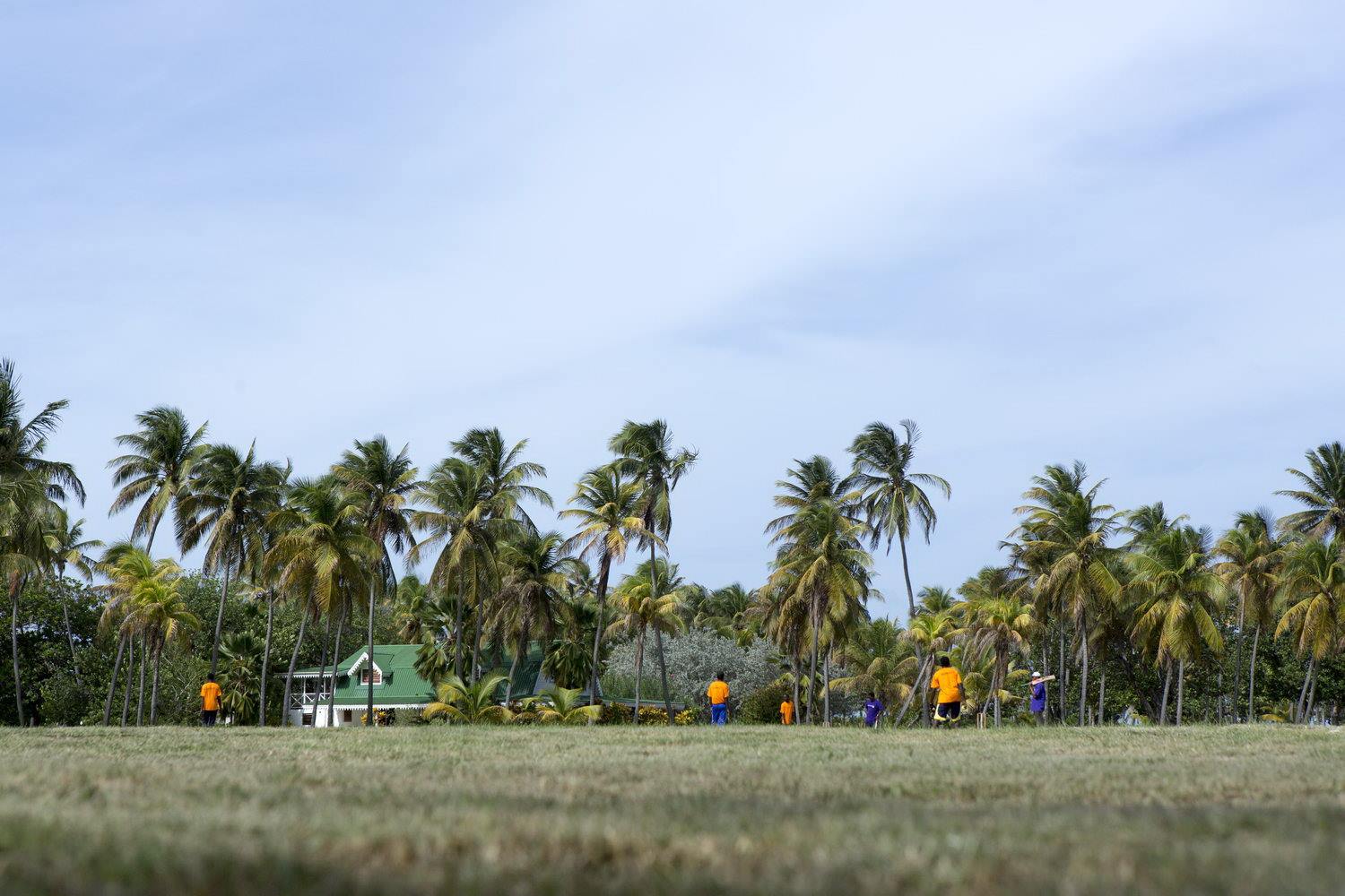 Palm Island Resort  en San Vincente y Granadinas