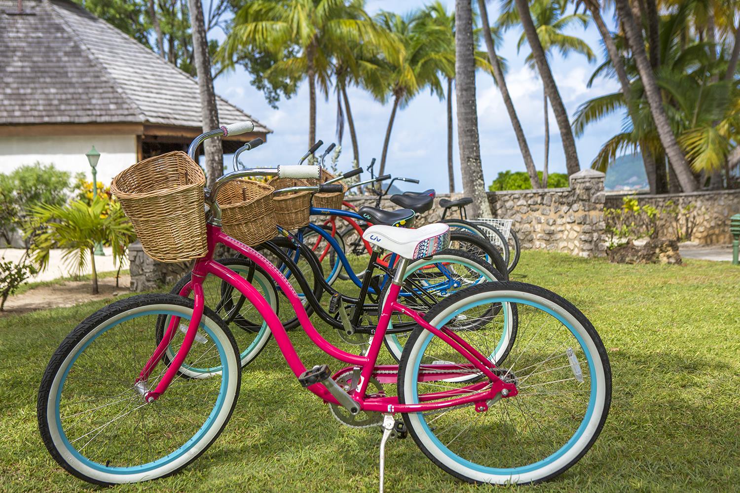 Palm Island Resort  en San Vincente y Granadinas