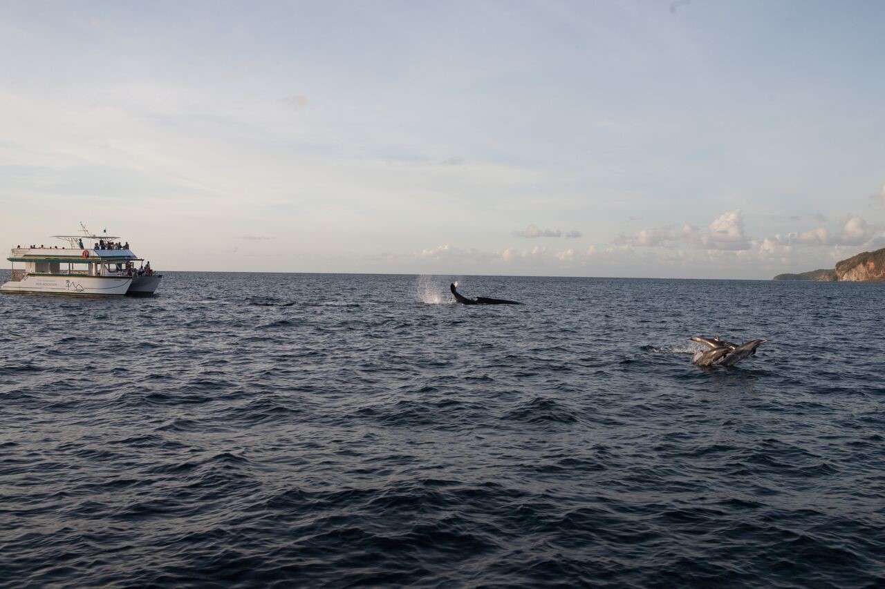 Anse Chastanet en Santa Lucia