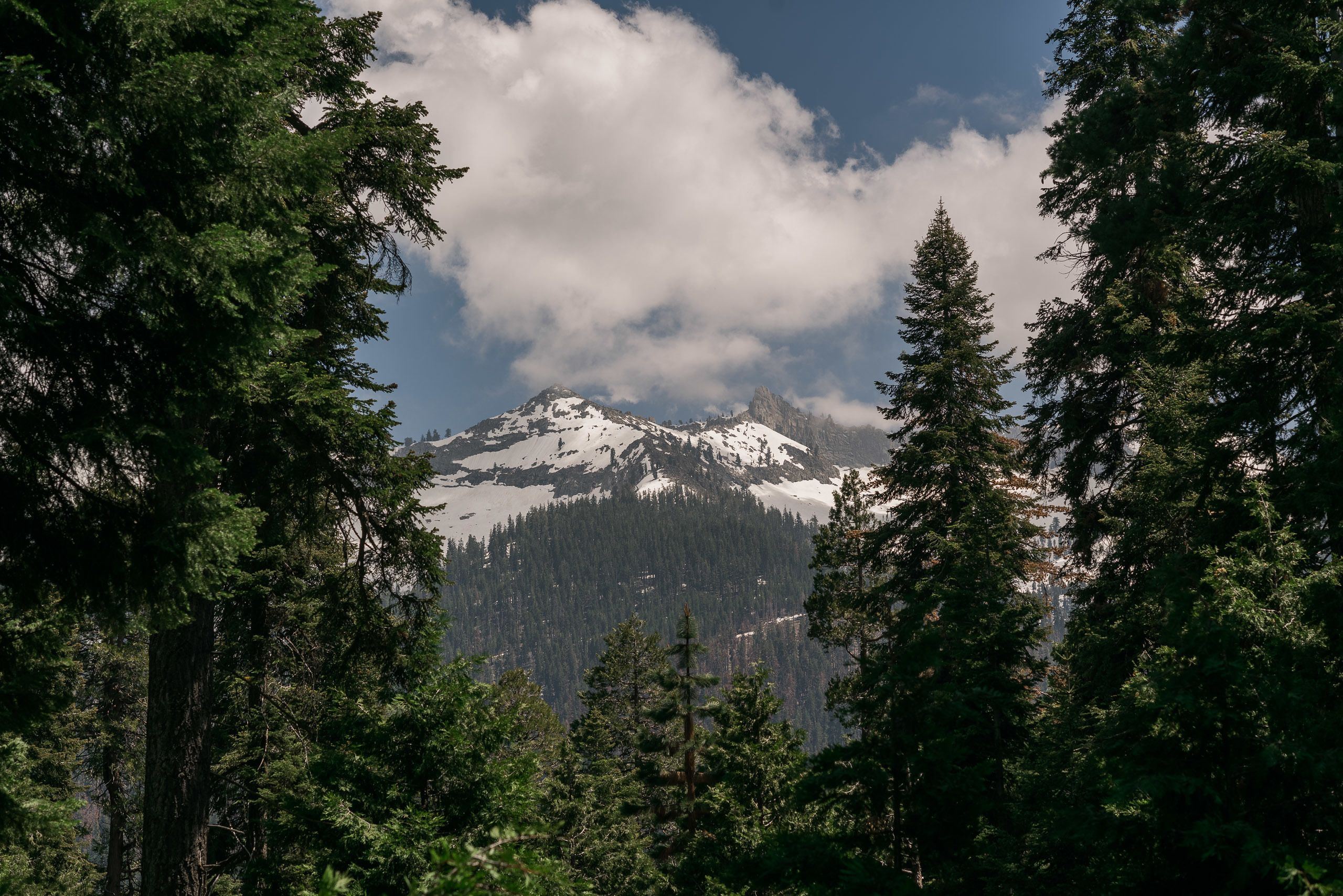 Silver City Mountain Resort en Sequoia National Forest