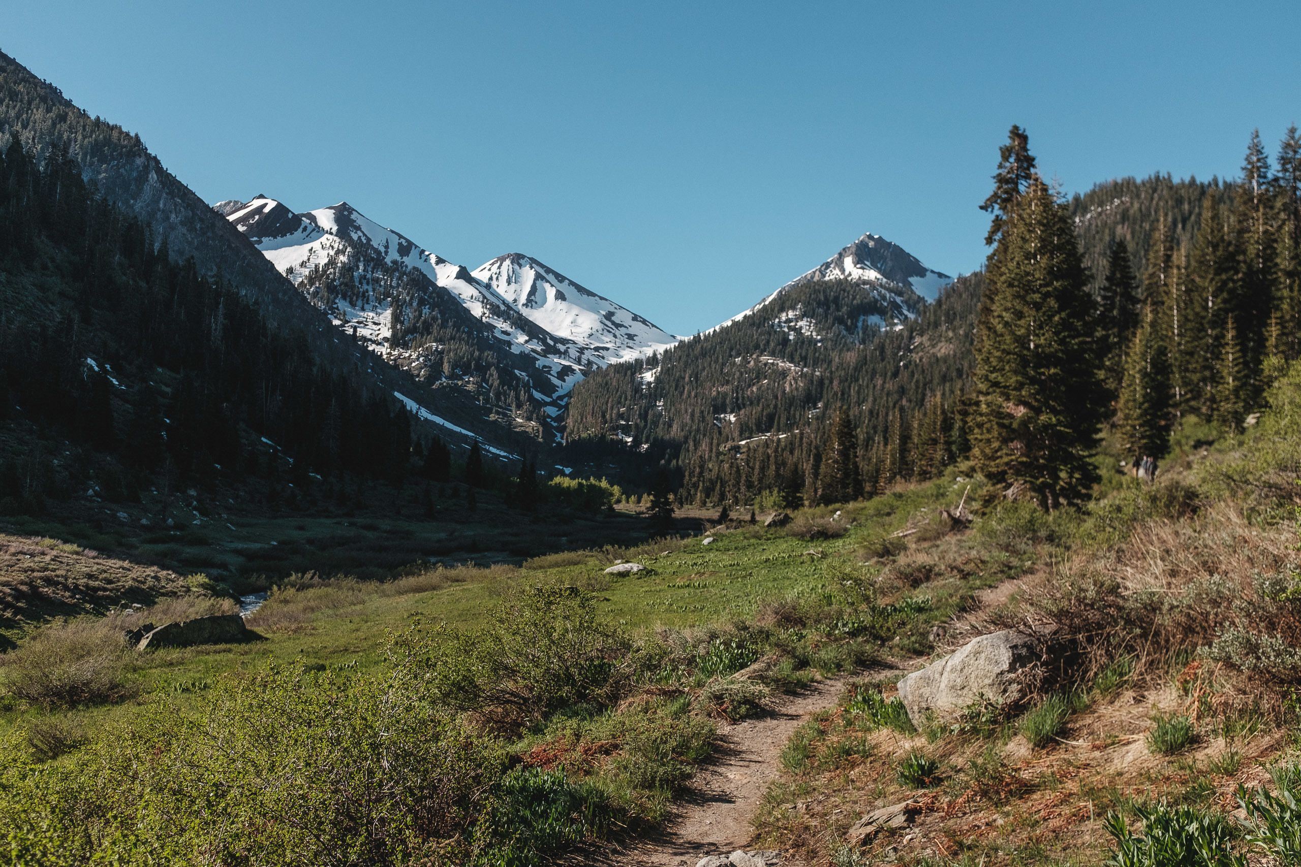 Silver City Mountain Resort en Sequoia National Forest