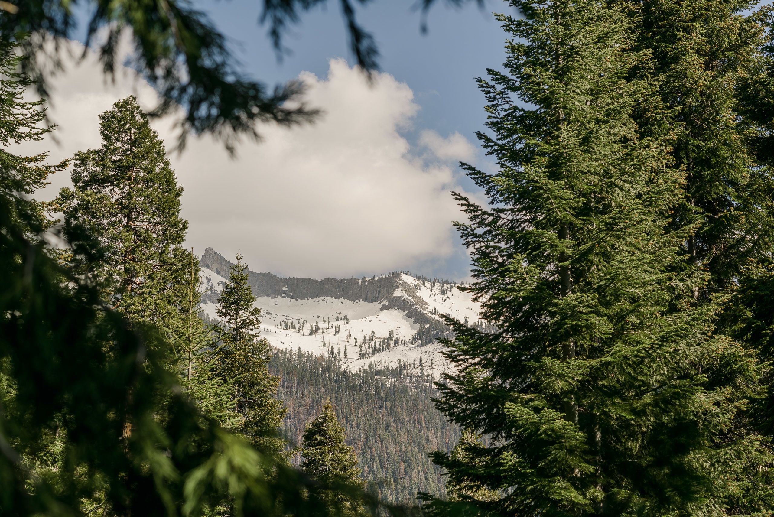 Silver City Mountain Resort en Sequoia National Forest
