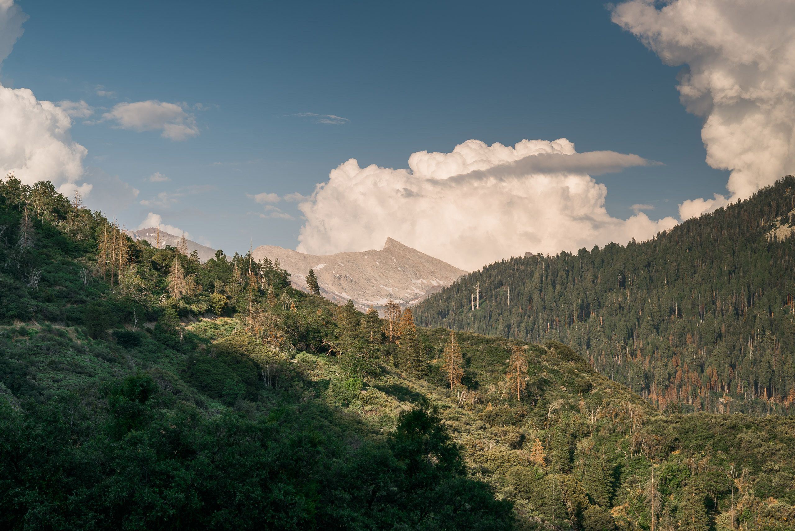 Silver City Mountain Resort en Sequoia National Forest