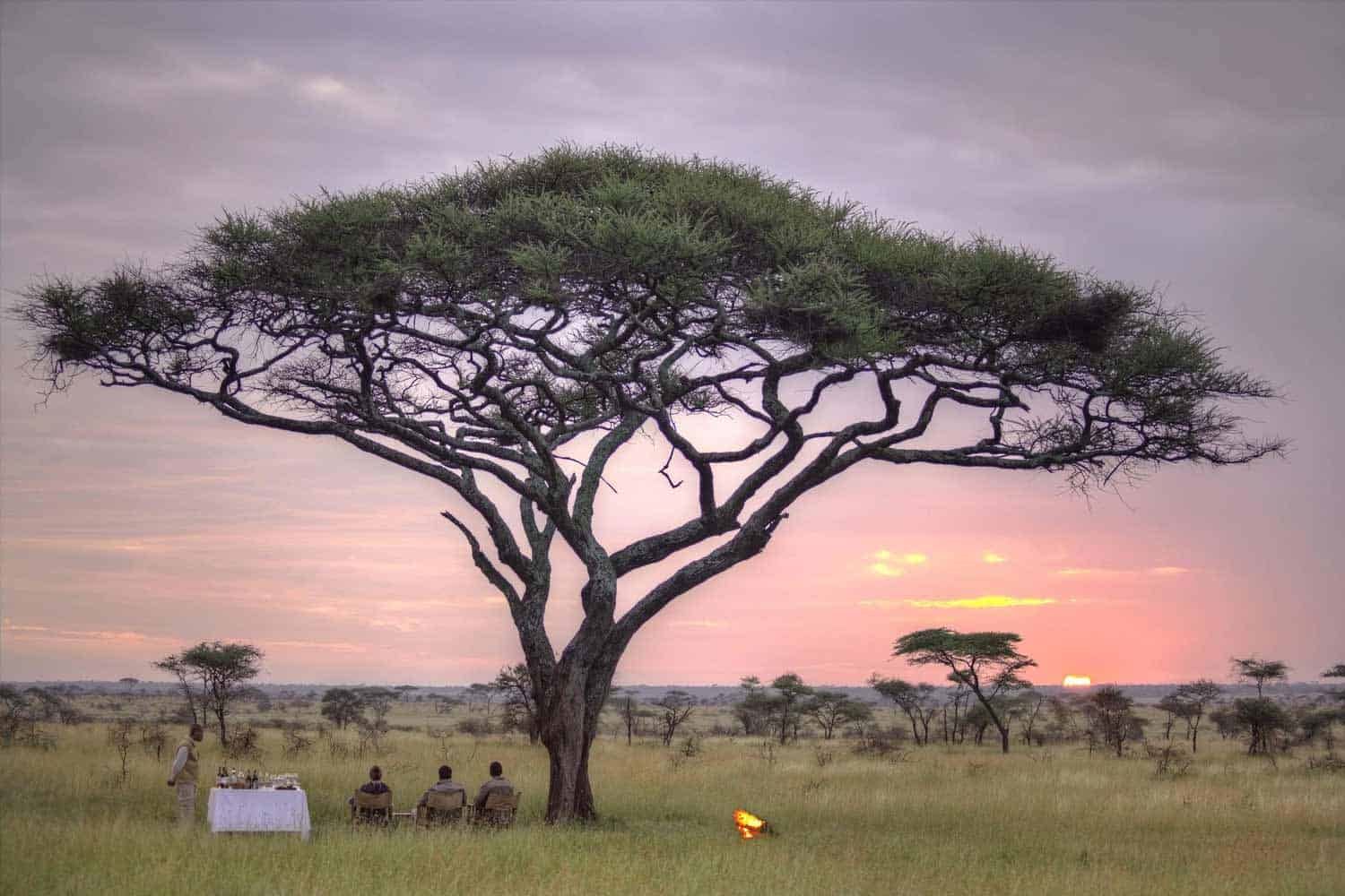 Olmara Camp en Serengeti