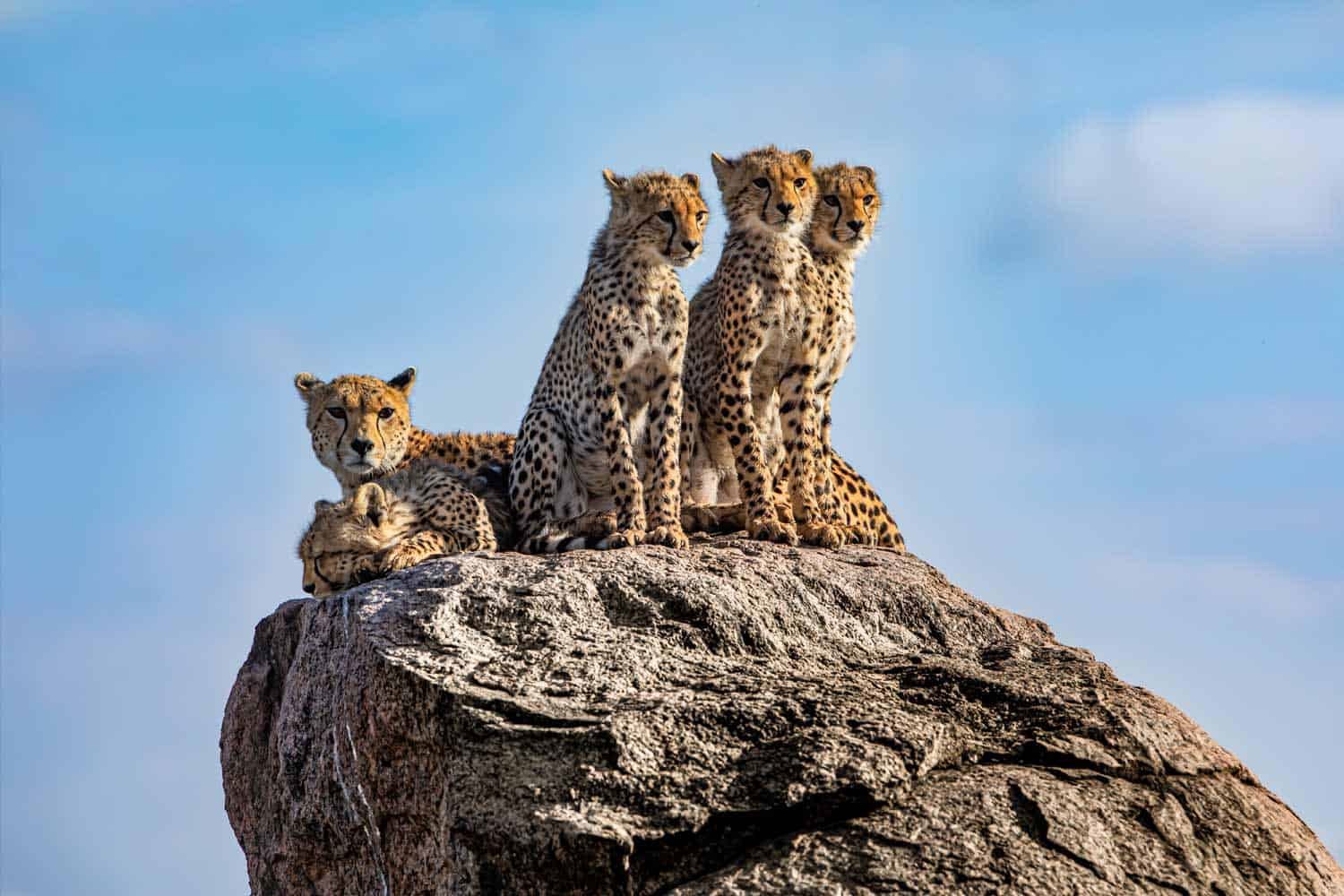 Olmara Camp en Serengeti