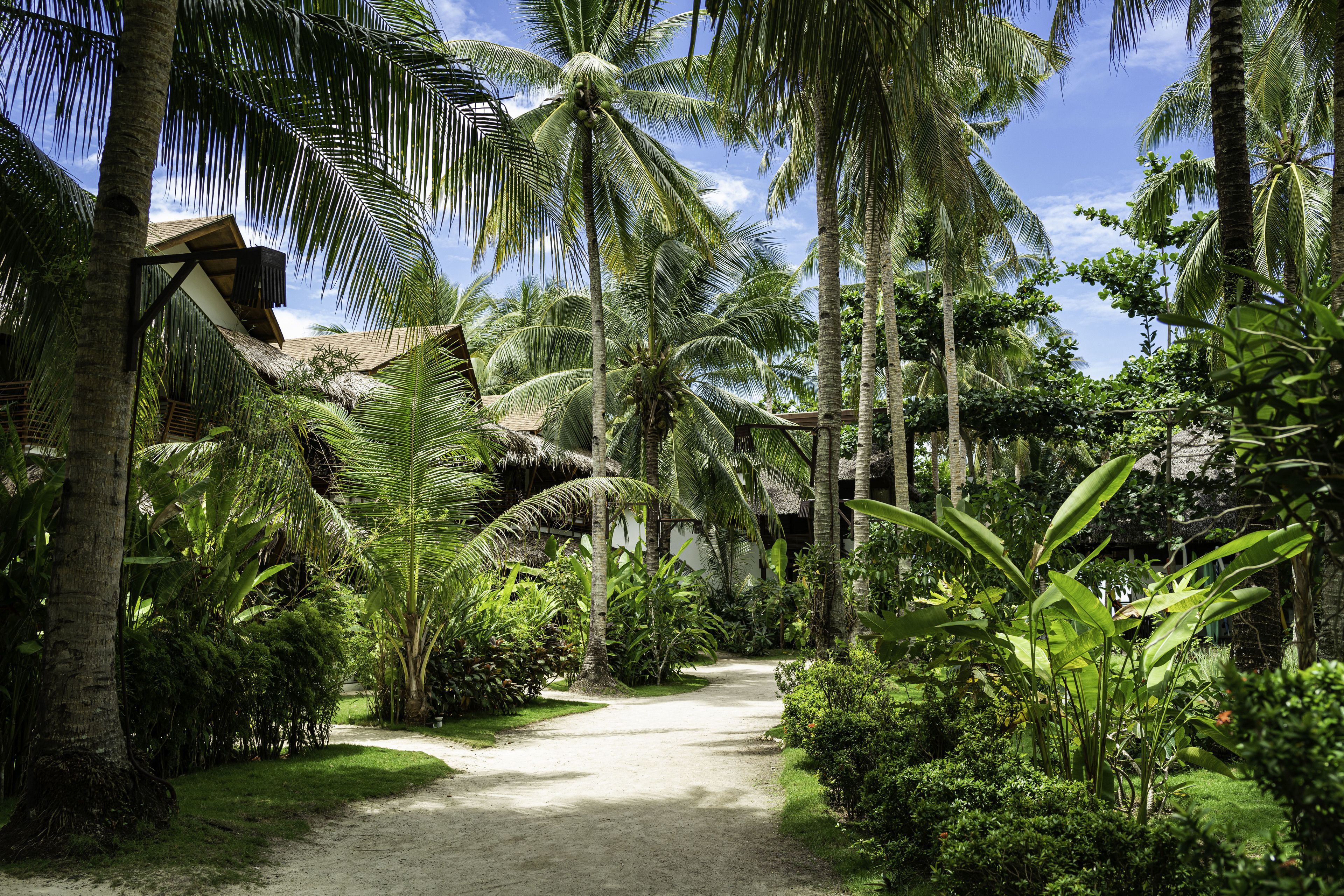 Siargao