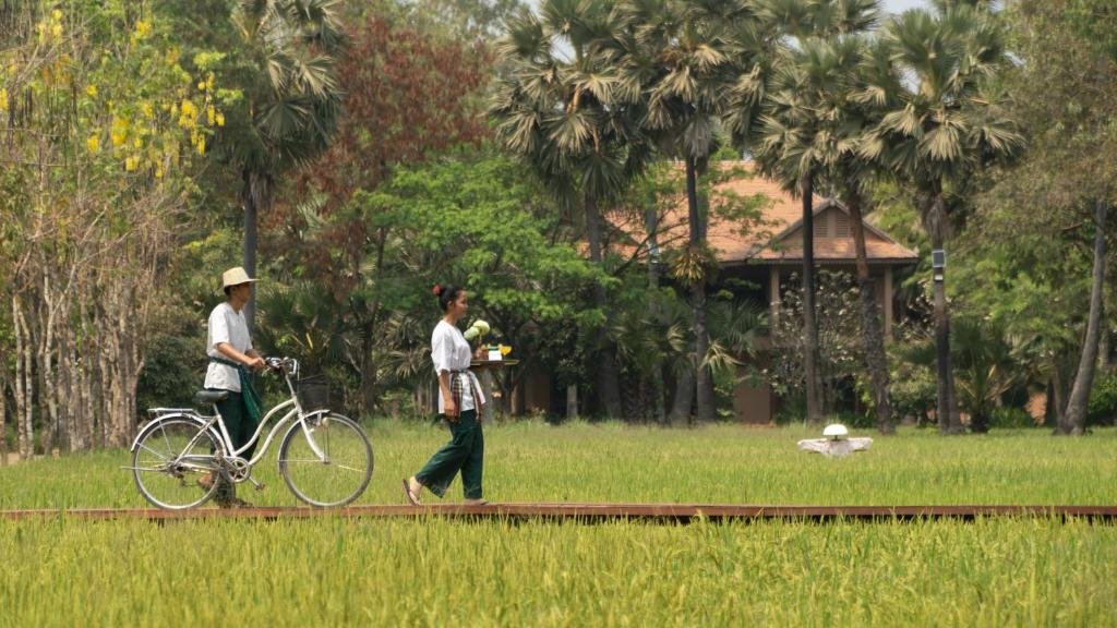 Mane Family Vacation en Siem Reap