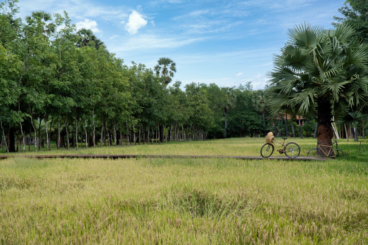 Mane Family Vacation en Siem Reap
