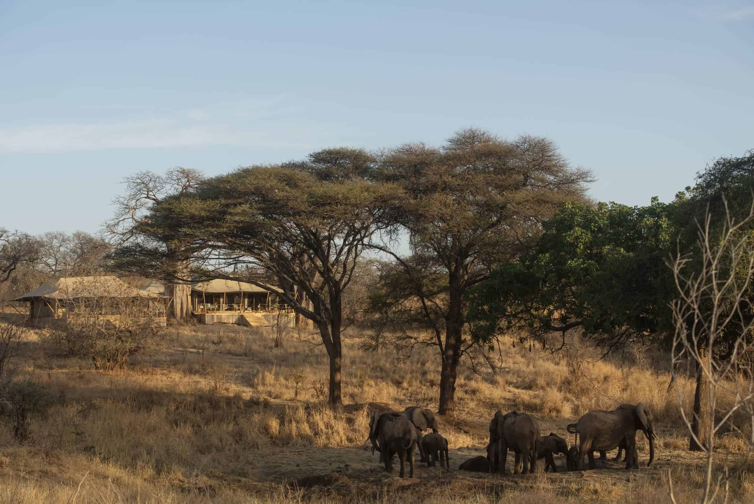 Olkeri Camp en Tarangire