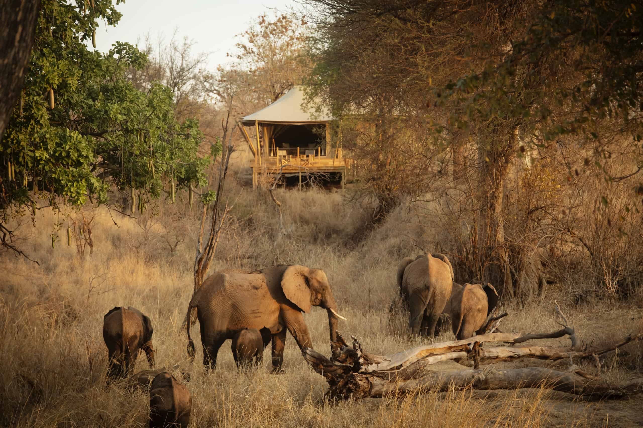 Olkeri Camp en Tarangire