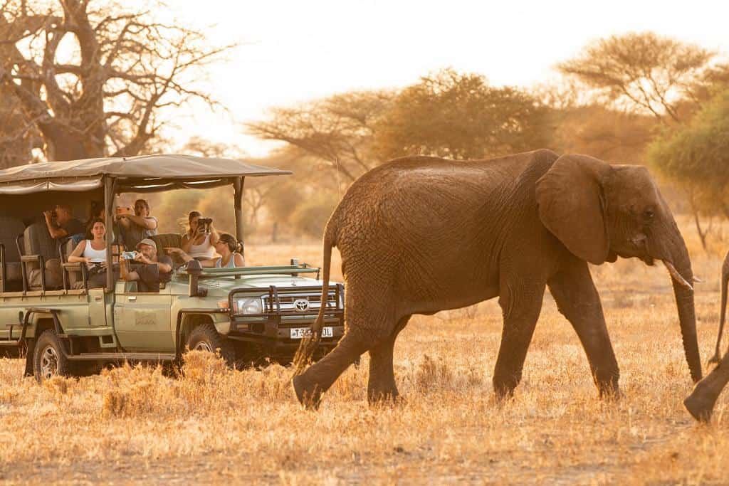 Olkeri Camp en Tarangire