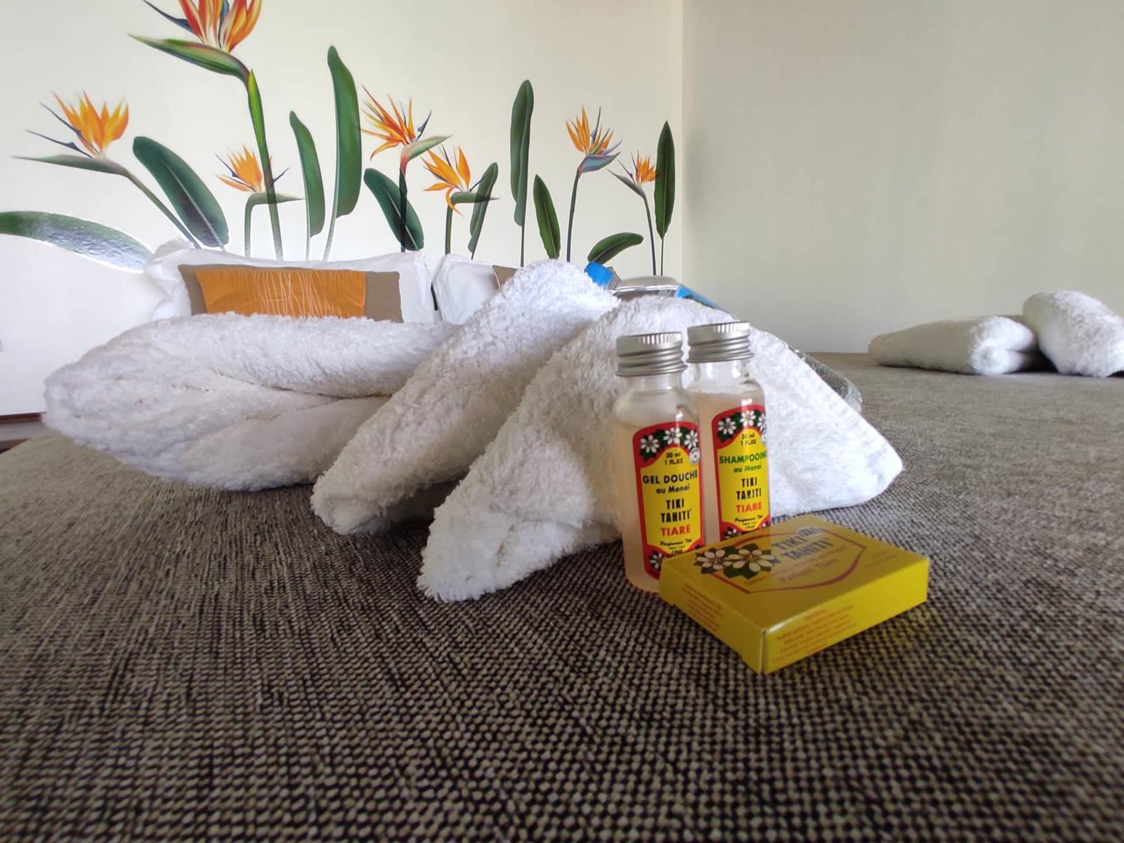 Aotera Guest House en Tikehau